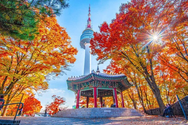 Seoul – The World’s No. 1 City for Solo Travelers in 2025: Why It’s So Popular and What to Expect