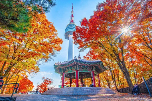Seoul – The World’s No. 1 City for Solo Travelers in 2025: Why It’s So Popular and What to Expect