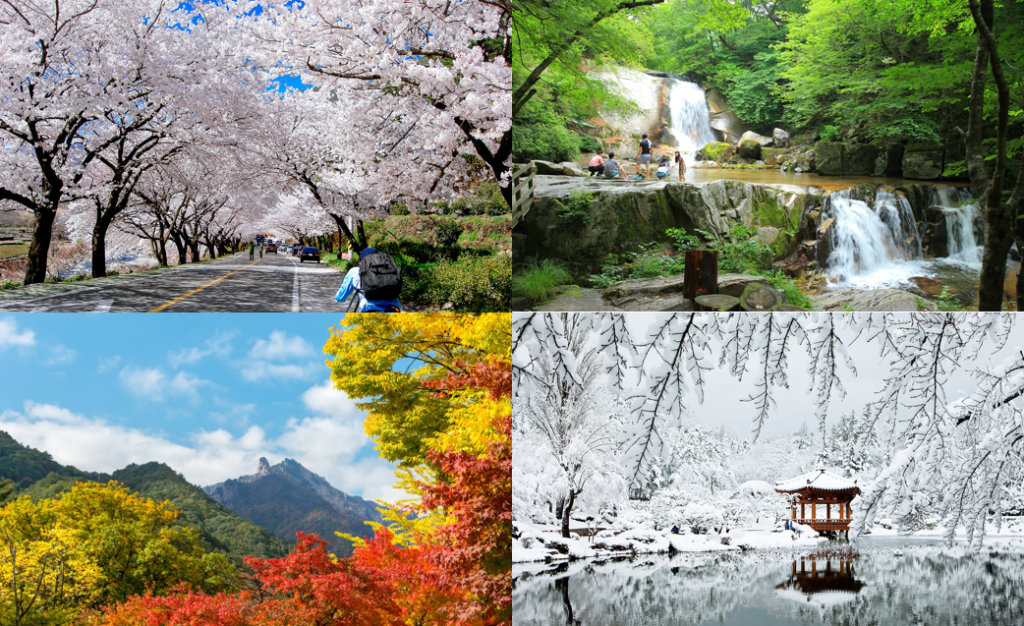 Korea’s Four Seasons: Best Time to Visit Depending on Your Travel Style