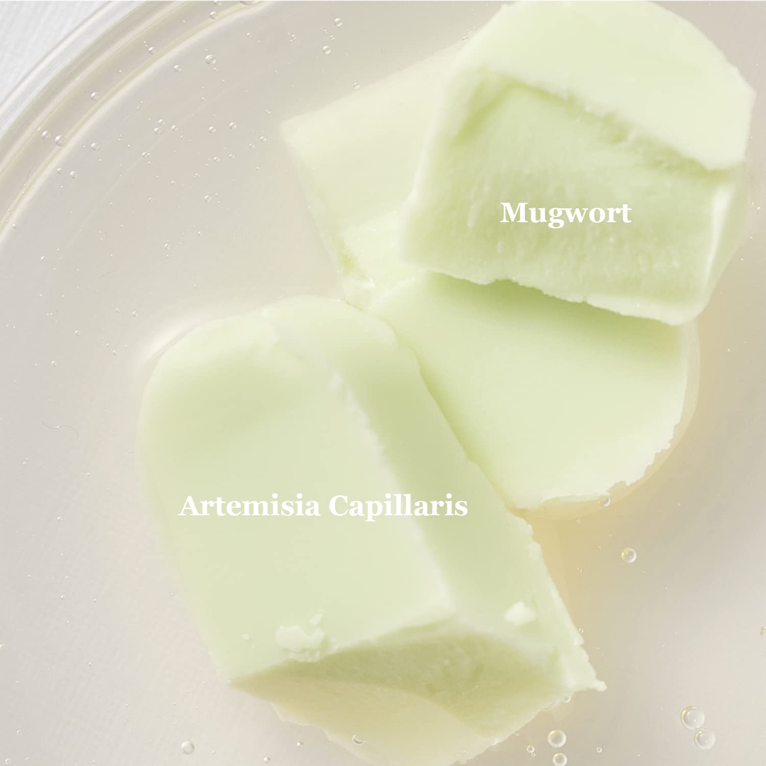 Matte Sun Stick : Mugwort + Camelia